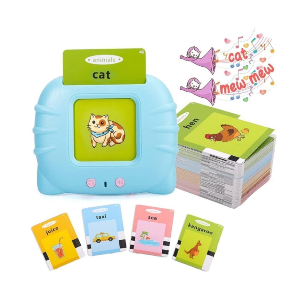 Flash Card Reader
