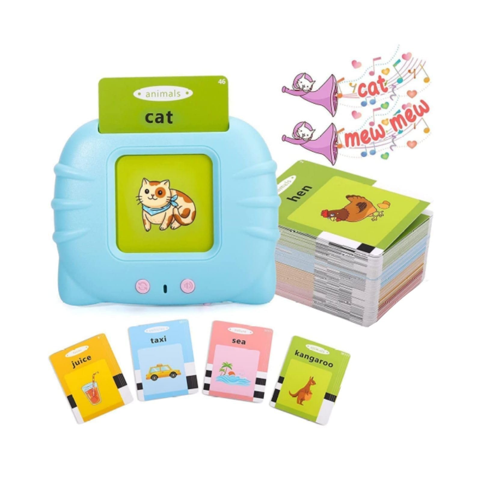 Flash Card Reader
